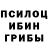Псилоцибиновые грибы Cubensis krisss_87 vbnv