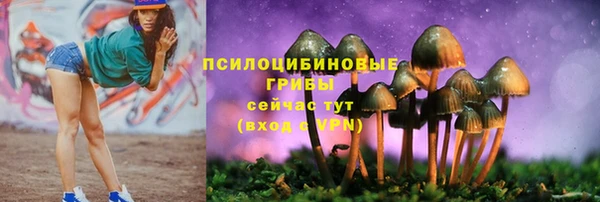 стафф Медвежьегорск