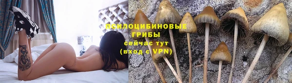стафф Медвежьегорск