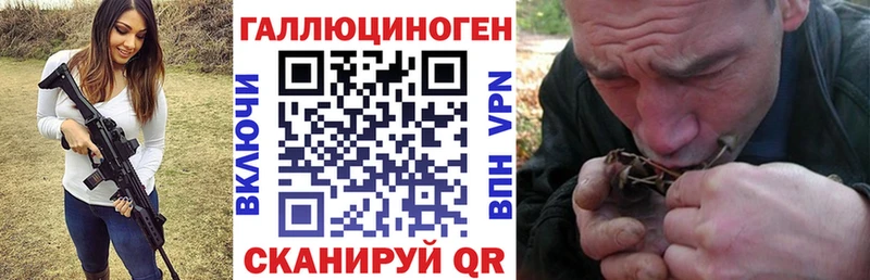 Псилоцибиновые грибы Cubensis Купить Зерноград